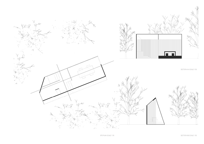 'To Look' project - Site plan & sections