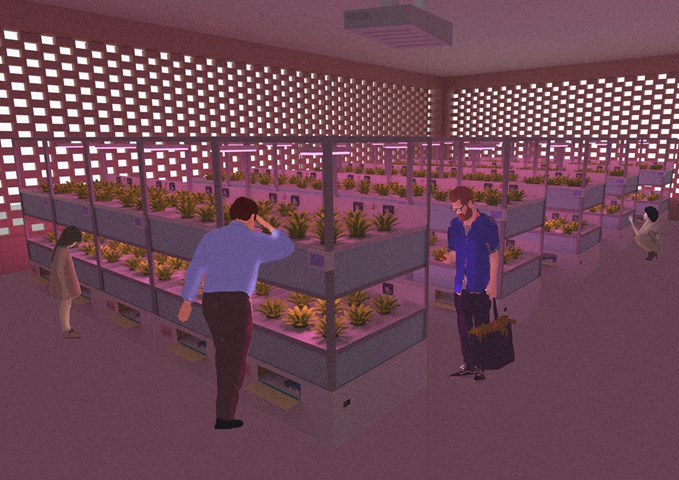 Hydroponics Internal View Illustration